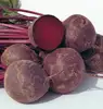 HOT SALE BEETROOT GOOD QUALITY/FRESH VEGETABLE/FRESH FRUIT FROM VIETNAM
