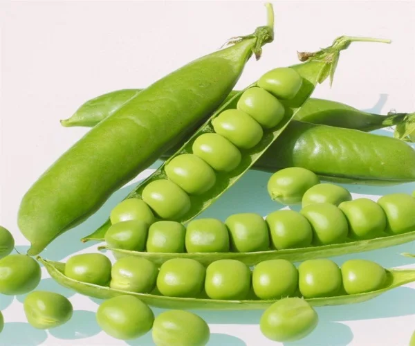 
Original Flavor Green Peas  (50040933079)