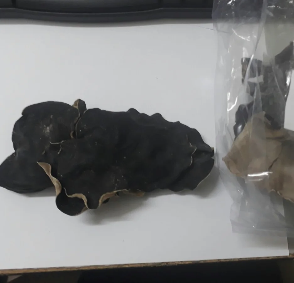 Dried Wood Ear Mushroom/ Dried Mushroom / Black Mushroom Vietnam In