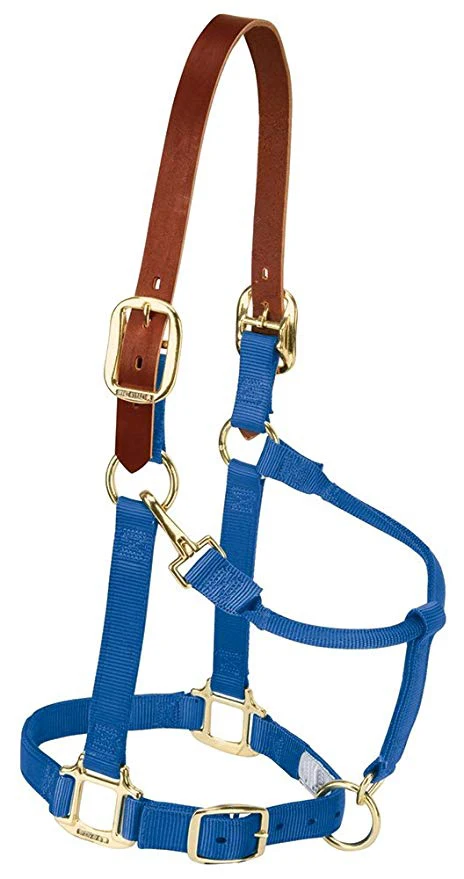 
2019 Top quality Leather Breakaway Original Adjustable Chin and Throat Snap Halter by Hami Land Sports 