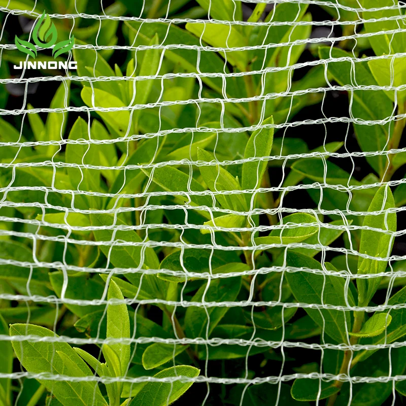 Invisible Stainless Steel Nylon Antibird Net Trap Netting Lowes For