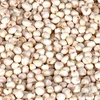Sorghum, Corn,Yellow Corn, White Corn, Wheat, Buckwheat, Millet, Chia Seeds, Quinoa, Rye, Barley, Oats