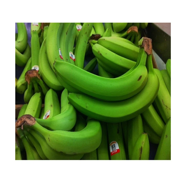 
Indian Origin 50 KG. Packing Banana 
