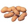 Hot selling best quality peanut in Vietnam