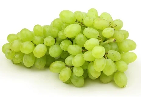 
Quality Sweet Thompson Seedless Sweet Fresh Grapes for Wholesale 