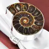 Christmas ! Rare Stylish Natural Ammonite Fossil Gemstone Silver Ring Size 9