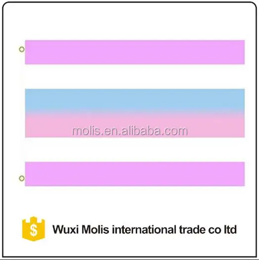 Custom 60 * 90cm Asexual Pride Flag in Black, Grey, White & Purple with ...