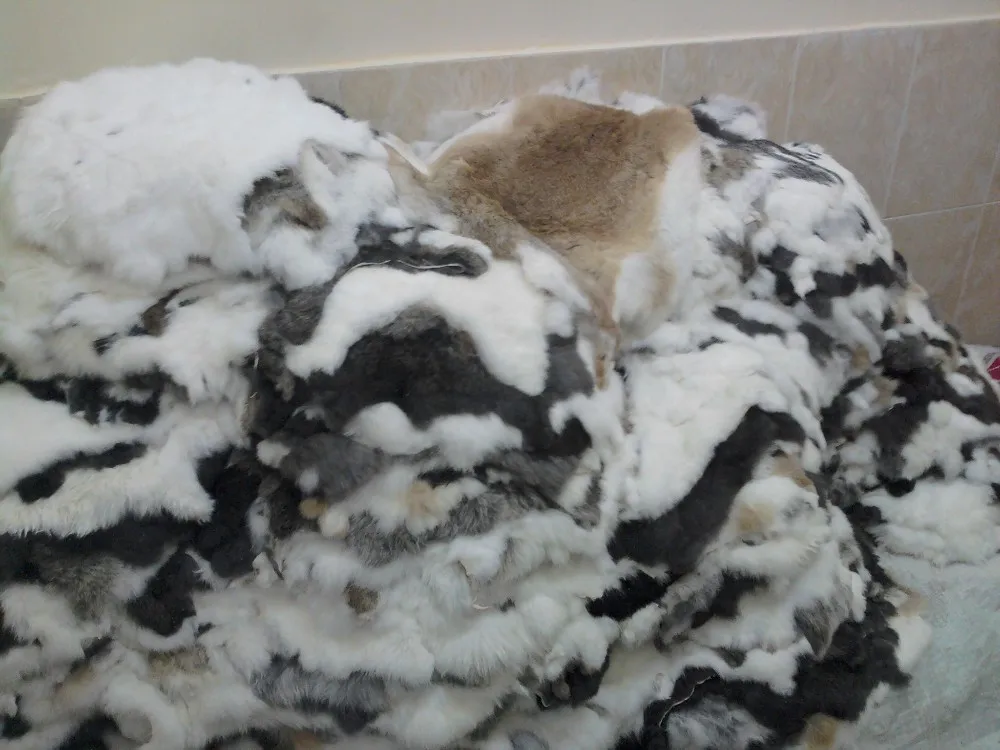 preserving rabbit pelts