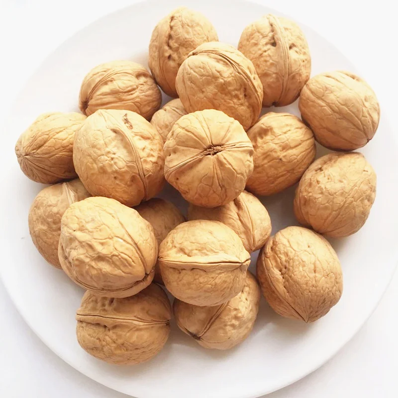 
Bulk xinjiang in shell dry walnuts natural 