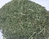High quality Dried Fumitory Earthsmoke / Fumaria officinalis in Raw form for whole sale