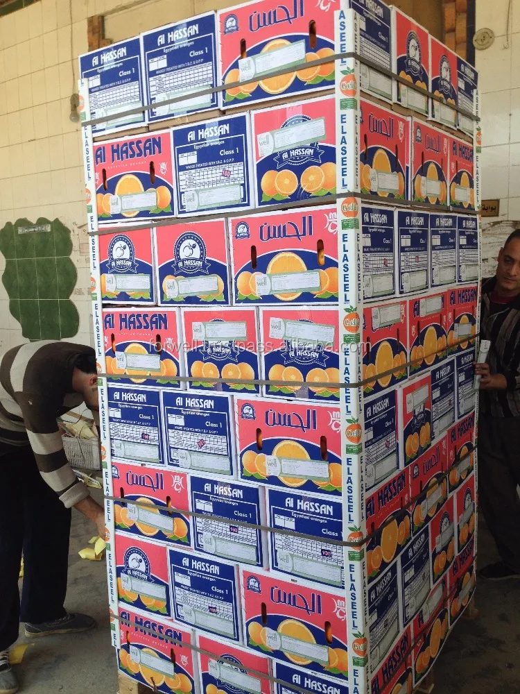 
VERY sweet FRESH oranges exporting to Russia market 