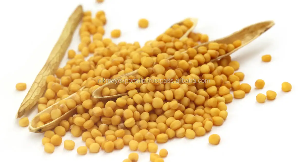 Yellow Mustard Origin India From Nik-may Exports Llp - Buy ...