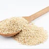 Sesame Seeds with High Oil Content Ready Stock