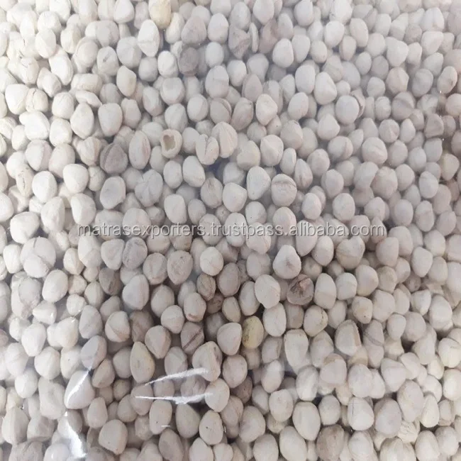 Moringa Kernels 33.jpg