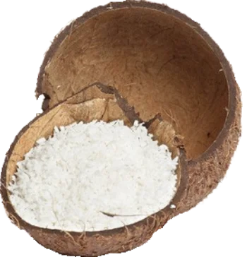 
VIETNAM ORGANIC DESICCATED COCONUT POWDER HIGH FAT 