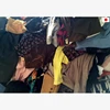 2018 Best Popular Product Beautiful And Reliable Recycled Secondhand Clothes