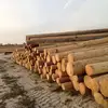 /product-detail/pine-wood-logs-birch-wood-logs-spruce-wood-logs-50046229276.html