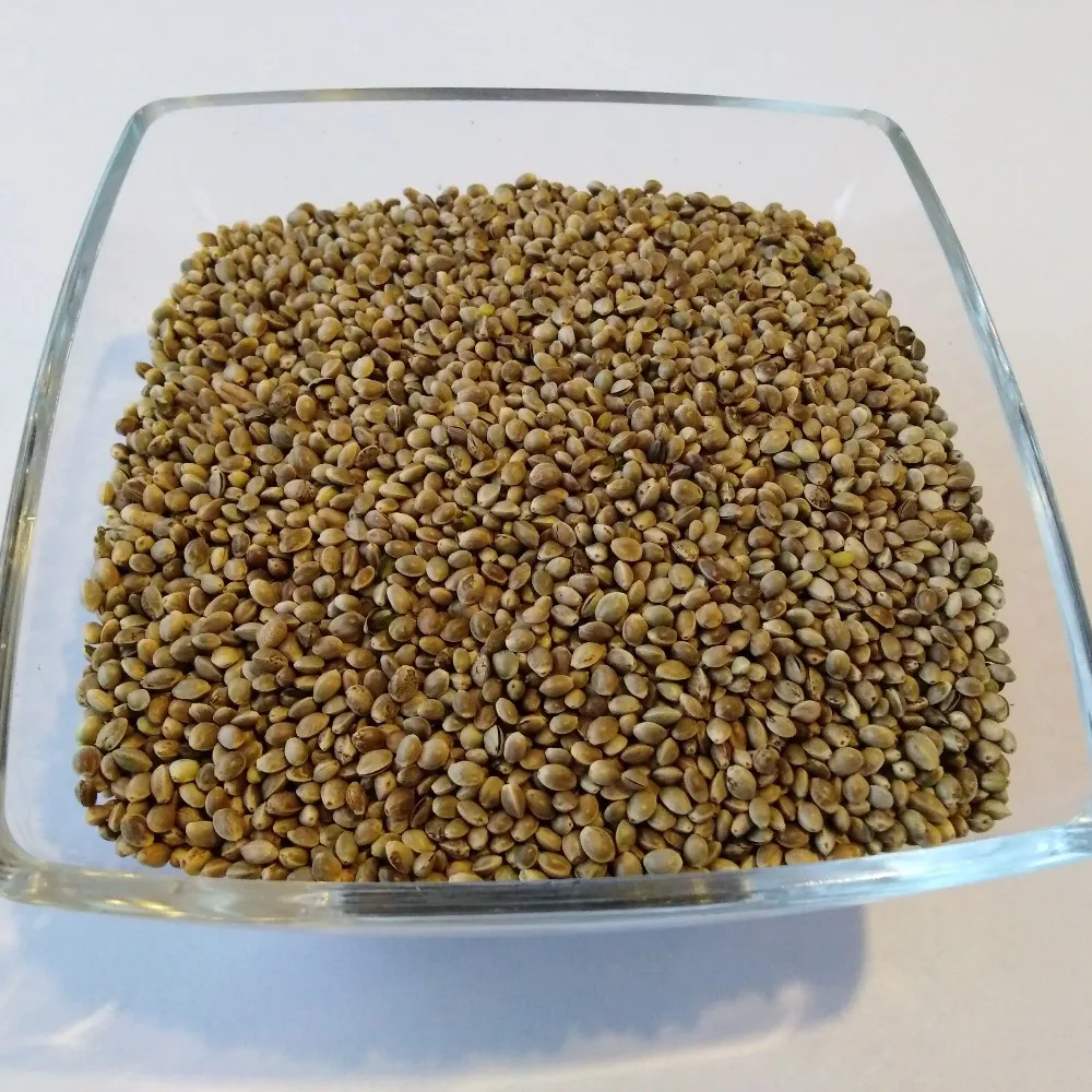 hemp seeds the best quality