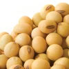 2018 Wholesale Dried Yellow Soybean / Soya Seeds