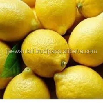 
hot selling high quality fresh yellow lemon for sale from South Africa 