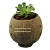 Handmade coconut shell flower pots for living room/ Coco husk pot for small plants