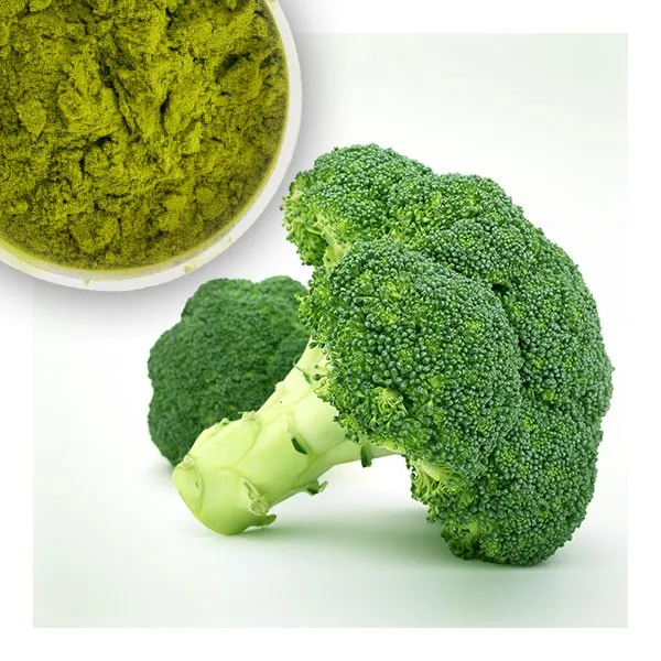100% nature broccoli /broccoli sprout powder /powder broccoli