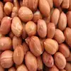 High Grade Raw Peanuts and Peanuts / Roasted Blanched Peanuts for sale