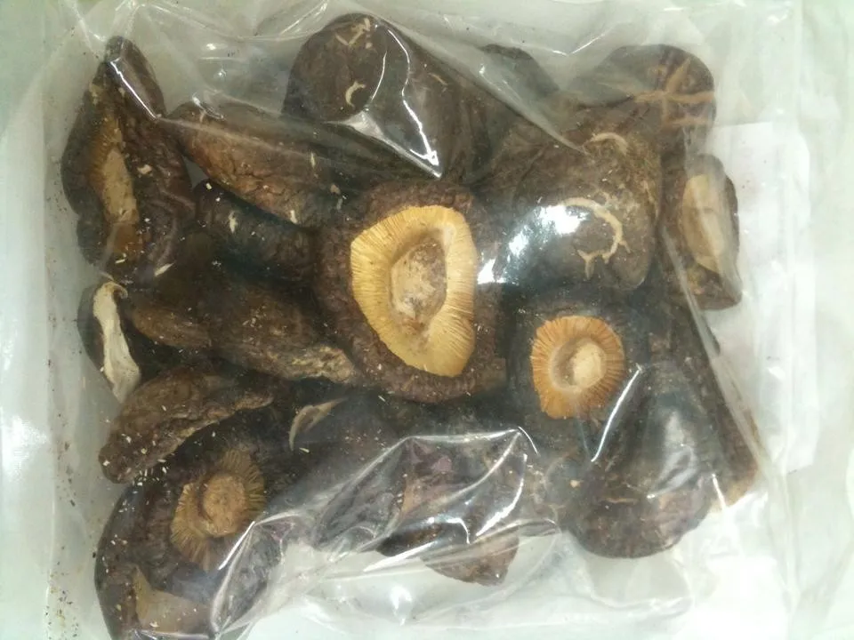 Vietnam High Quality Shiitake Mushroom/magic Mushrooms Buy Dried