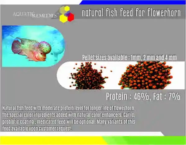 
PROBIO FISH FEED 