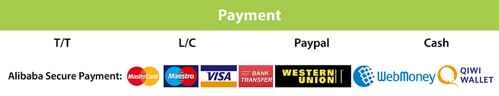 Payment