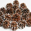 Christmas Pine Cones whatsApp +84 845639639