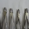 Wisdom Extracting Forceps tooth extractions elevator Upper teeth sharp beaks Top High Quality Stainless Steel.