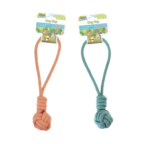 dog ate string from rope toy