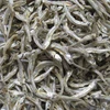 Dried anchovy fish size 4-6cm export standard