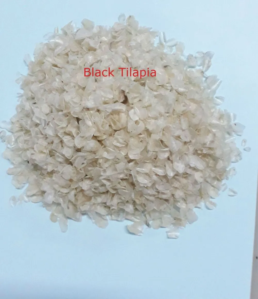 Dried Fish Scale Buy Tilapia Fish Scale,Channa Maculata Fish Scale