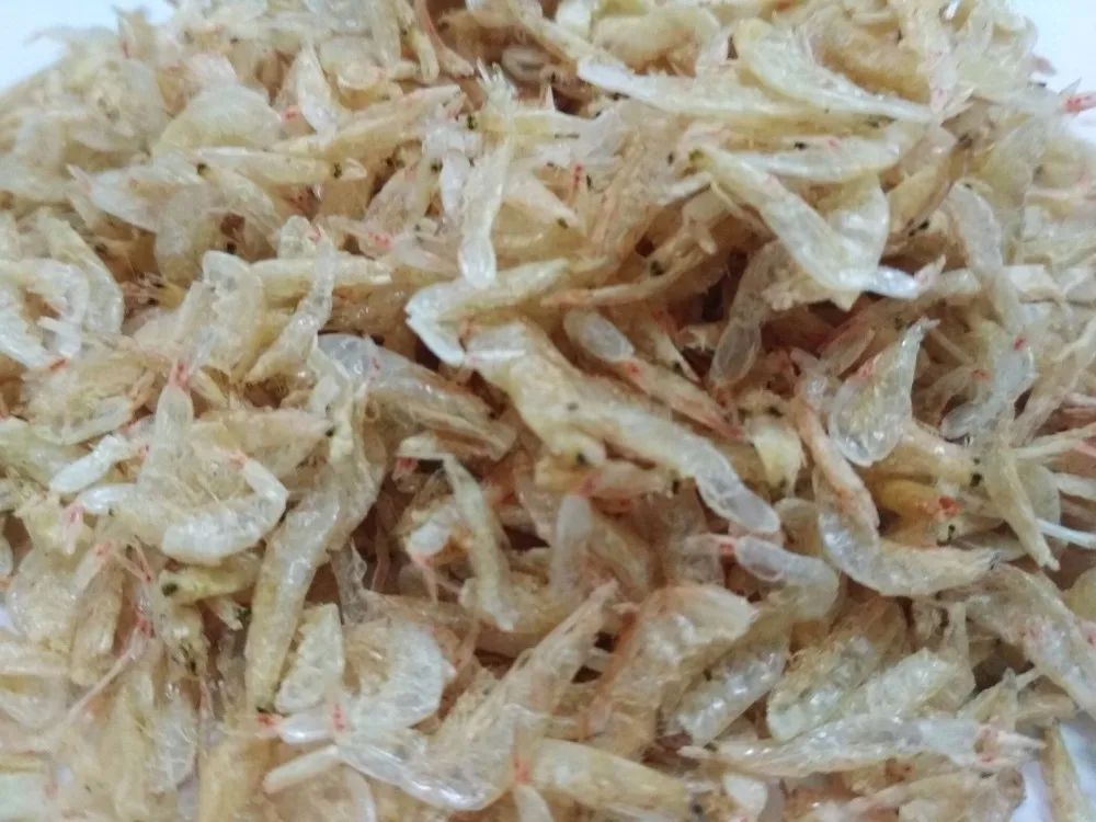 Dried Baby Shrimp/ Baby Krill Acetes Japonicus Cheap Price High