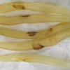 DRIED EEL FISH MAW_CHEAPEST PRICE- PREMIUM QUALITY
