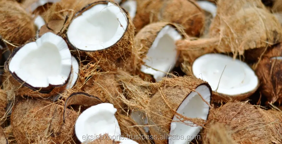 Fresh Coconut Importers In Uae - Buy Fresh Coconut,Uae Coconut,Mature