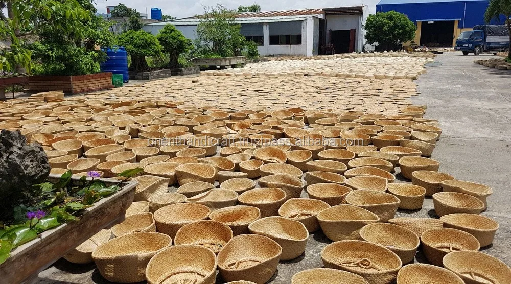 20117096_1375052215943108_2261309326701765606_o