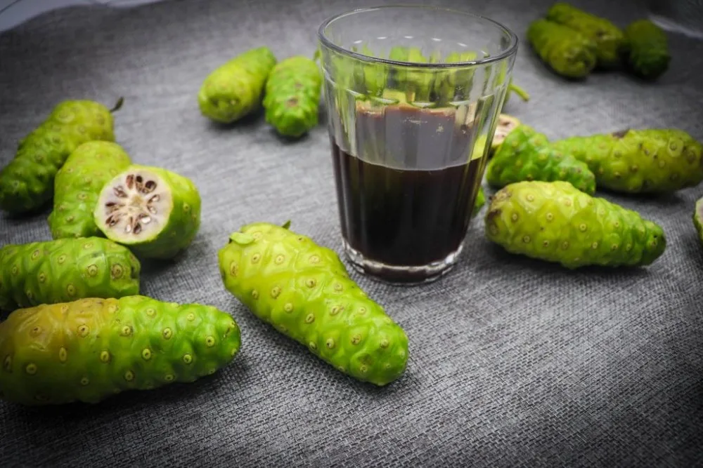 Hot Sales Noni Juice,Dried Noni,Noni Powder // 100 Pure Noni Juice