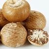 supari betel nuts