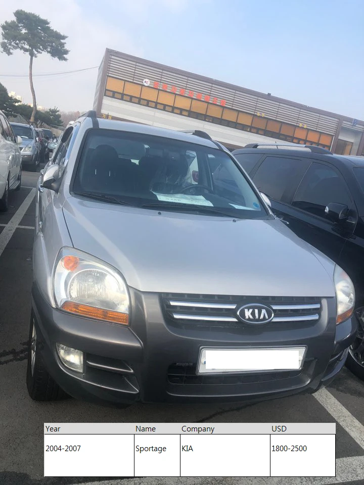1543376892927_sportage02.jpg