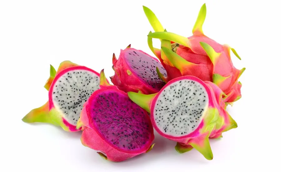 good price fresh dragon fruit from vietnam