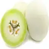 Fresh Honeydew Melon for sale