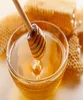 Honey bee