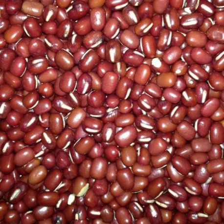 adzuki-beans-100g.jpg