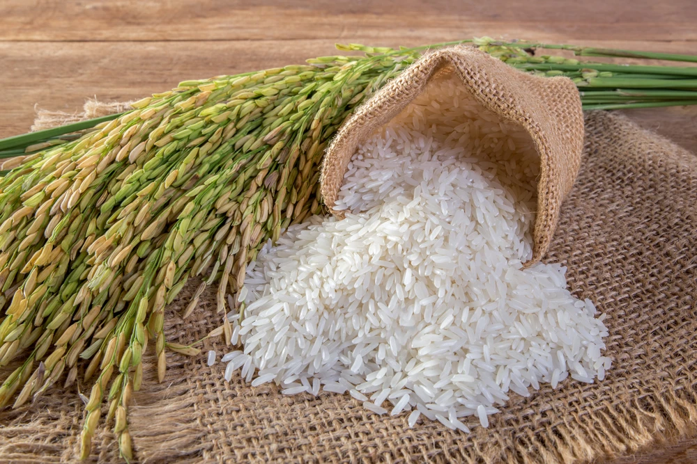 long grain thai jasmine rice