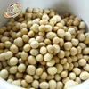 30kg Canada Dried Yellow Soybean / Soya Bean / Kacang Soya