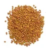 Premium quality fenugreek seed supplier 99% Sortex
