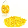 Maize grain for animal feed